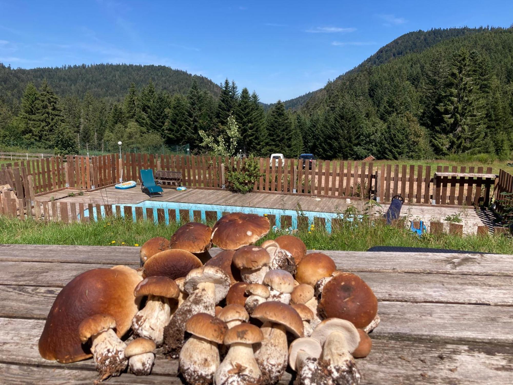 Le Perchoir, Gite 7 Personnes, Le Grand Valtin Ban-sur-Meurthe-Clefcy Экстерьер фото