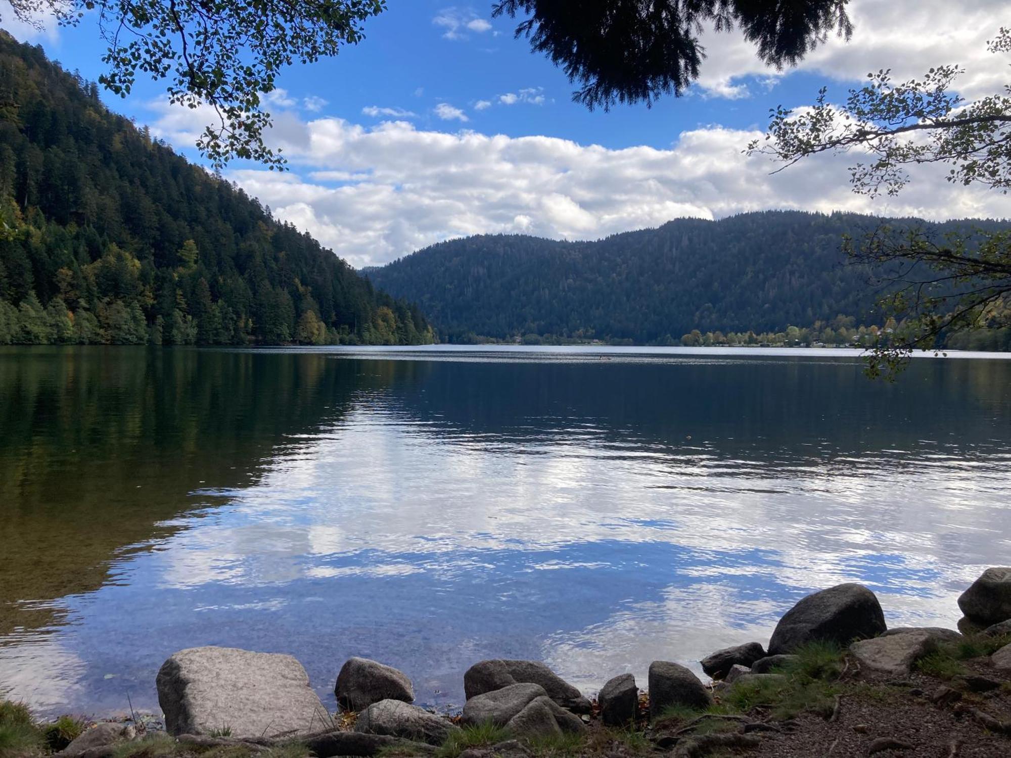 Le Perchoir, Gite 7 Personnes, Le Grand Valtin Ban-sur-Meurthe-Clefcy Экстерьер фото