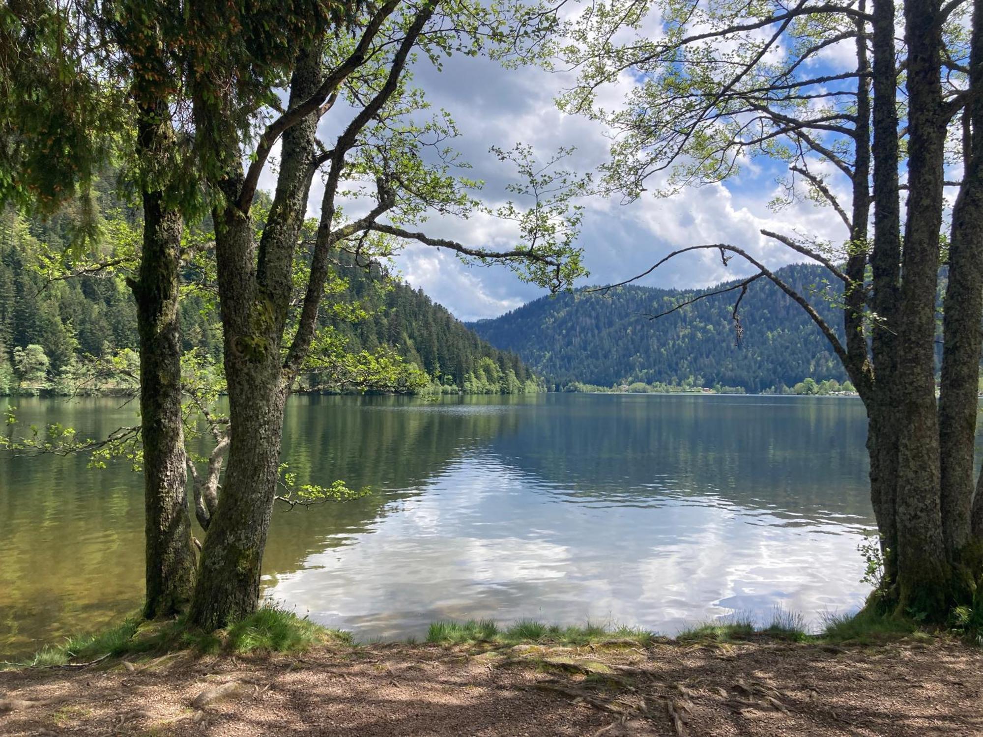 Le Perchoir, Gite 7 Personnes, Le Grand Valtin Ban-sur-Meurthe-Clefcy Экстерьер фото