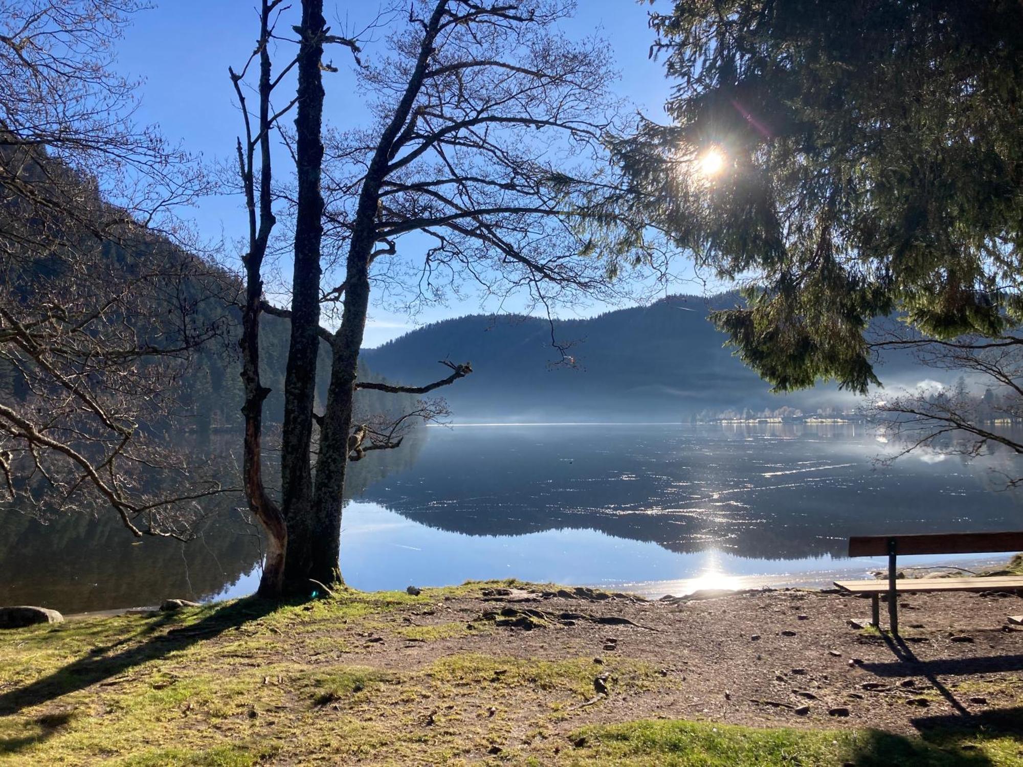 Le Perchoir, Gite 7 Personnes, Le Grand Valtin Ban-sur-Meurthe-Clefcy Экстерьер фото