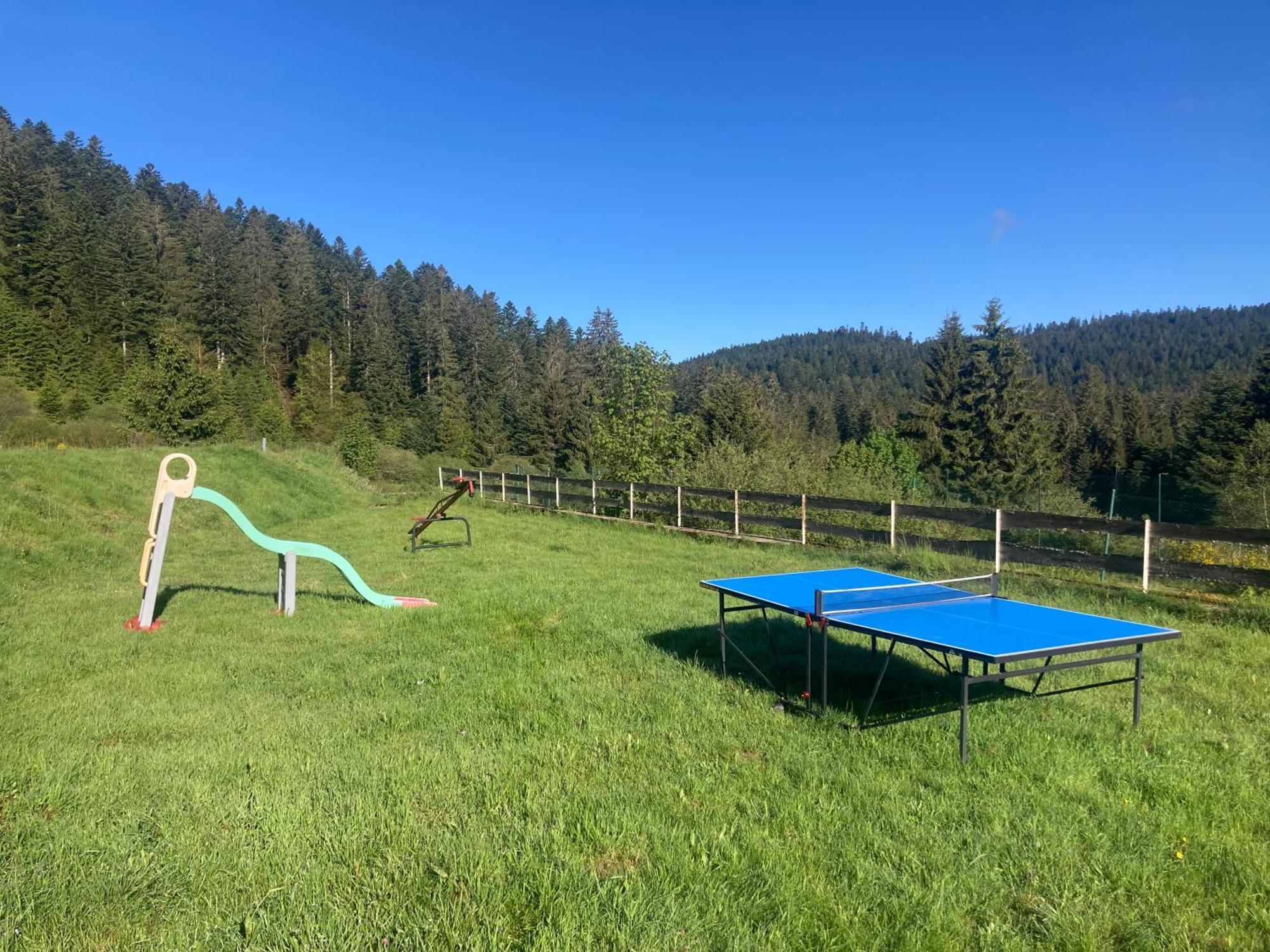 Le Perchoir, Gite 7 Personnes, Le Grand Valtin Ban-sur-Meurthe-Clefcy Экстерьер фото