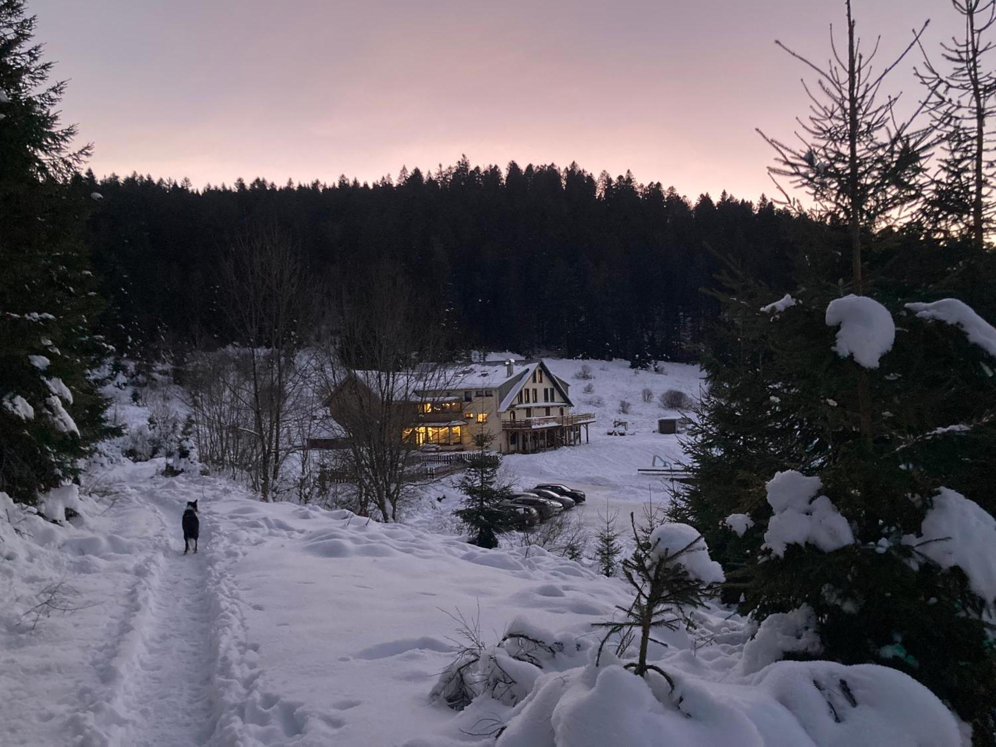 Le Perchoir, Gite 7 Personnes, Le Grand Valtin Ban-sur-Meurthe-Clefcy Экстерьер фото
